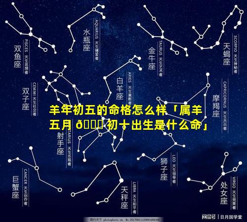 羊年初五的命格怎么样「属羊五月 🐝 初十出生是什么命」